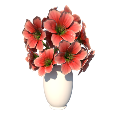 Amaryllis Çiçekleri ile vazo 1-Front 3 boyutlu kırmızı ve beyaz sardunya