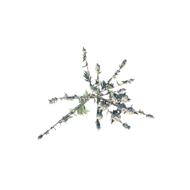 Genel Santral 1 top 3 d Siyah arkaplanda oluşturulan kar tanesi.