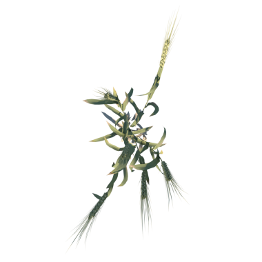 Bitki 2 - yeşil yapraklı üst vektör dalı