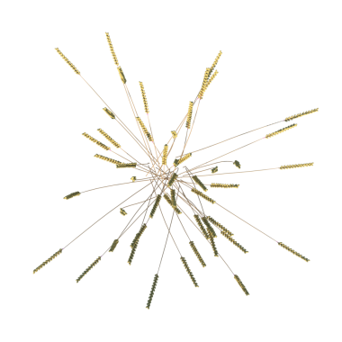 Buğday 1-üstü soyut bir yapının 3 boyutlu çizimi