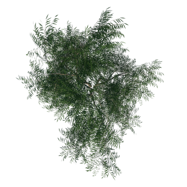 Arkaplan olarak yeşil ağacı olan harita