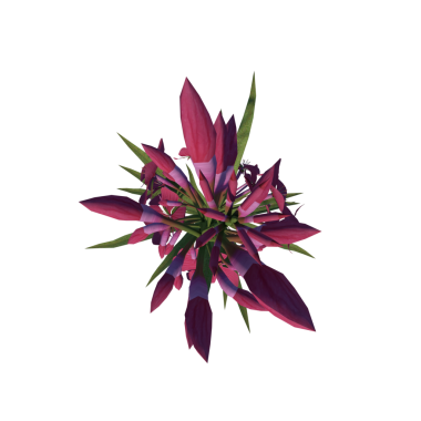 EpiIyobiyum angustifolium 1 - siyah üzerine botanik çiçeklerin üst vektör çizimi