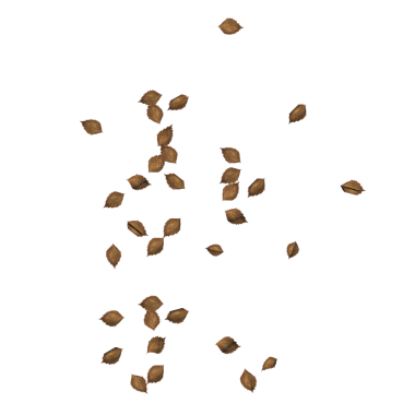 Kuru Ağaç Yaprakları 4 - kahverengi arkaplan üzerinde izole kahverengi arkaplan