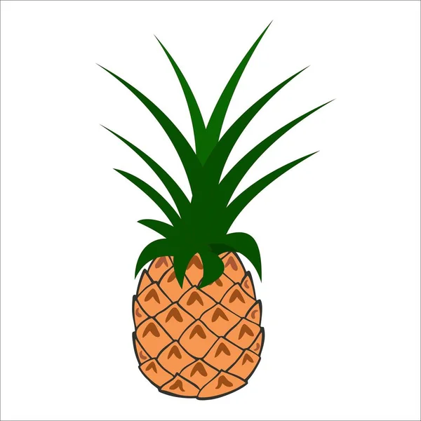 Tropik meyveler. Bir ananas. Vektör illüstrasyonu.