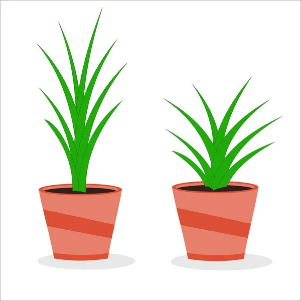 Saksıdaki bitki ve çiçeklerin vektör çizimi.