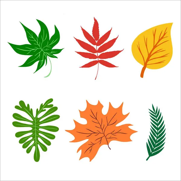 Renkli sonbahar yaprakları. Vektör illüstrasyonu.