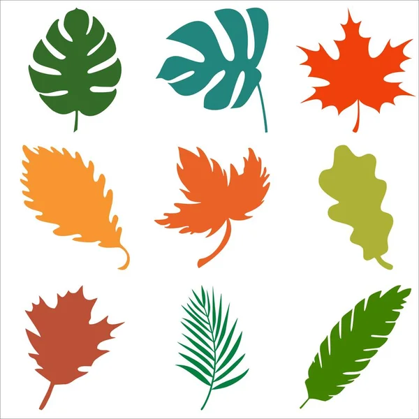 Sonbahar yapraklarının silueti. Vektör illüstrasyonu. 