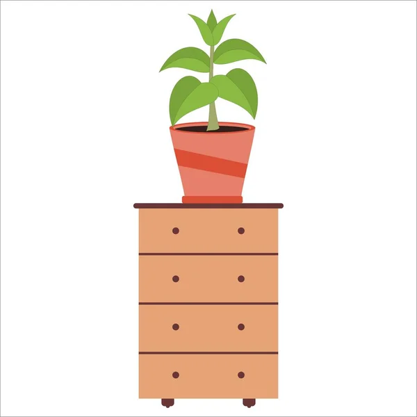 Çekmecelerin üzerine saksı bitkisi. Vektör illüstrasyonu.