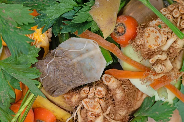 stock image Organic waste, kitchen waste for composting