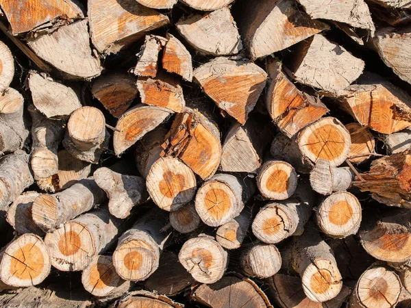 Stacked Firewood Closeup — Stock fotografie