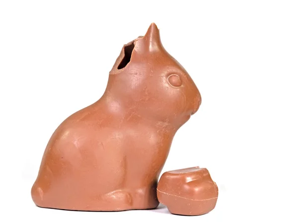 在白色背景前破碎的巧克力兔 — 图库照片