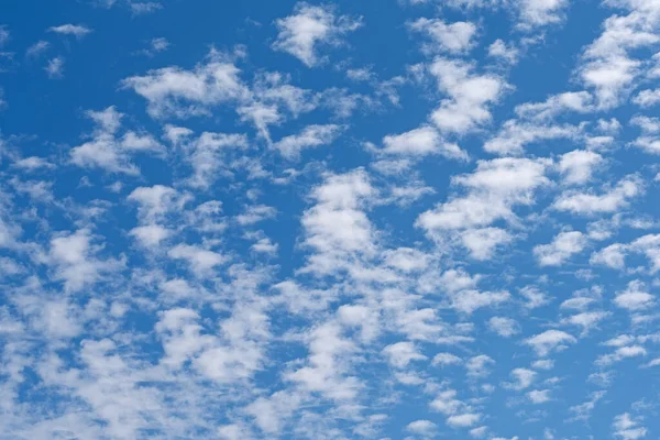 Pequenas Nuvens Cirrocumulus Contra Céu Azul — Fotografia de Stock