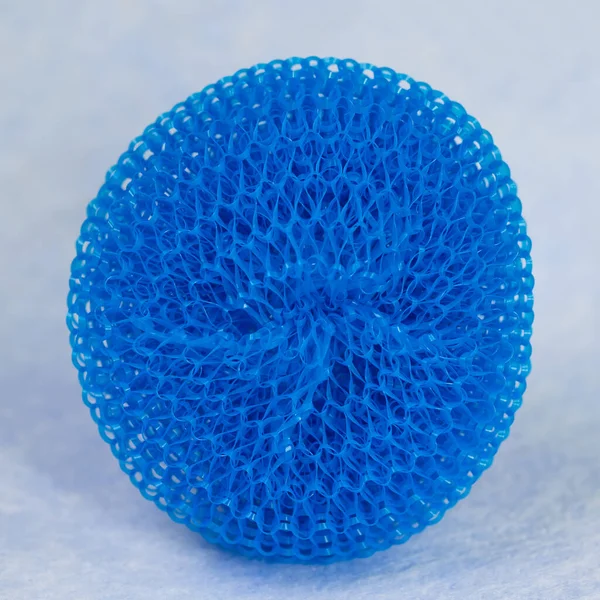 stock image Blue scourer in a close-up