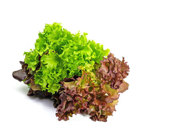Pick lettuce isolated against white background