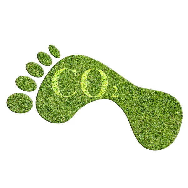 Green Footprint White Background Illustration — Stock Photo, Image