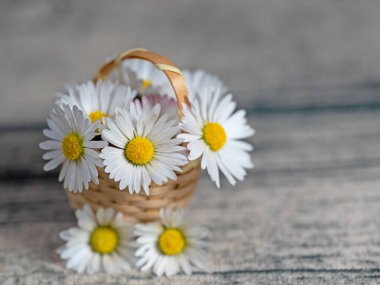 Yakın planda bir sepette papatyalar