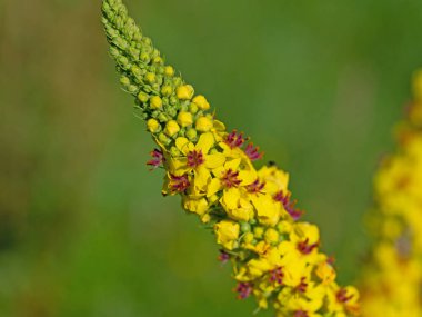 Kapalı çekimde serpilen derin derin düşüncelere