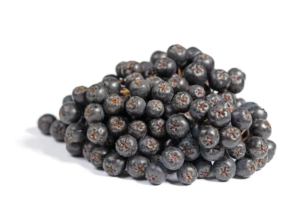 Aronia Berries Isolated White Background — Stock Photo, Image