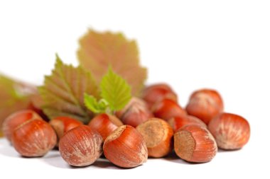 Beyaz bir arka plan karşı fındık