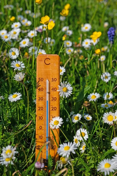 Thermometer on a flower meadow in the summer heat