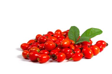 Beyaz arkaplanda izole gül kalçalar