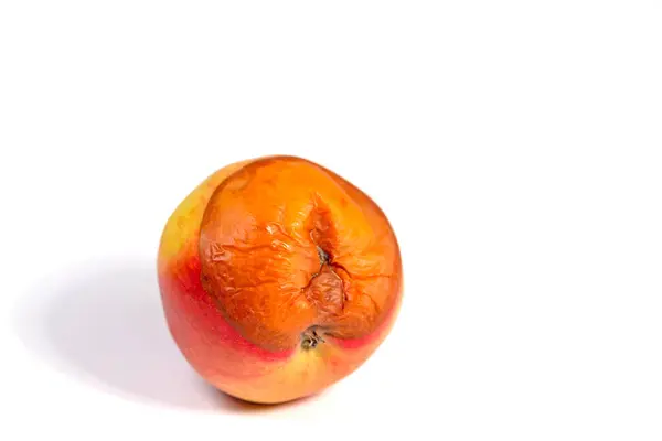白色背景下腐烂的苹果 — 图库照片