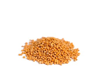 Beyaz arkaplana karşı hardal tohumları