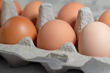 Ambalajda kahverengi tavuk yumurtası