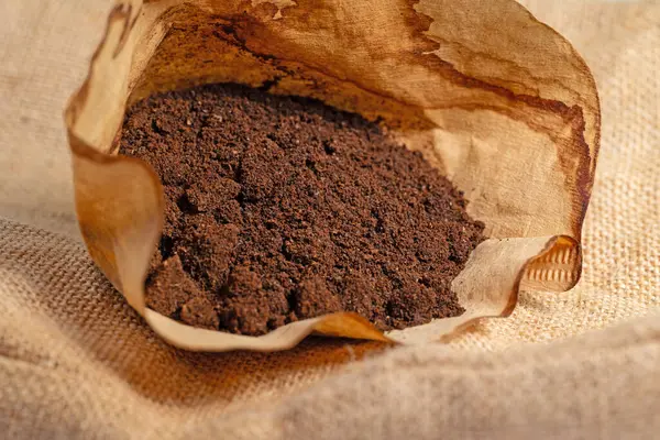 stock image Coffee grounds and filter bag in a close-up