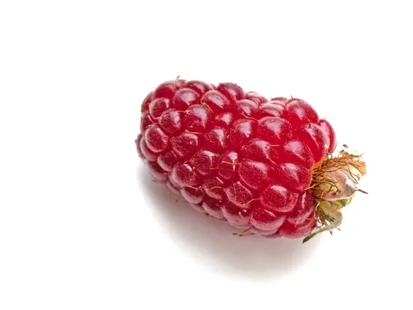 Stock image Tayberry fruit in a close-up