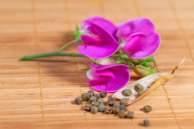 Sweet peas and seeds clipart