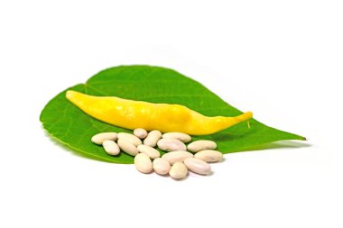 Beyaz arka planda balmumu fasulye ve fasulye tohumları