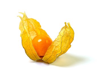  Mesane kirazı, fizsalis, beyaz arka planda.