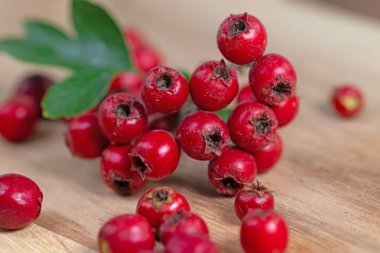 Hawthorn meyveleri yakın planda.