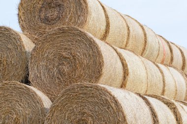 Stacked straw bales in a close-up view clipart