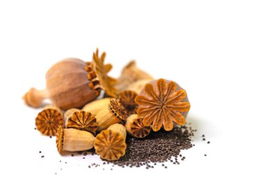 Beyaz arka planda tohumlu haşhaş kapsülleri