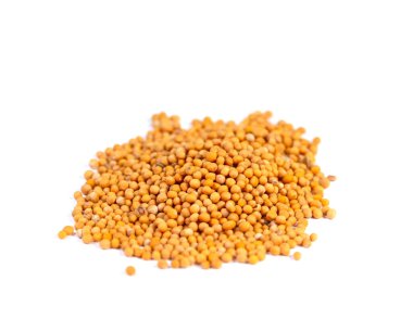 Beyaz arkaplana karşı hardal tohumları