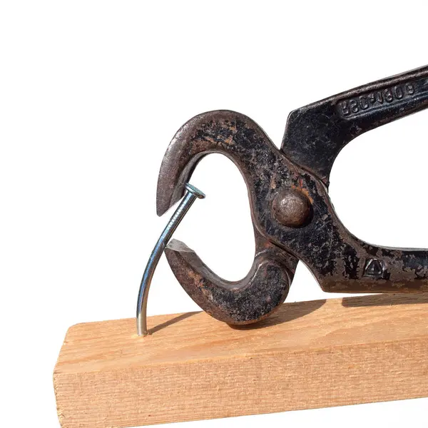 Kıskaçlar ve çiviler yakından.