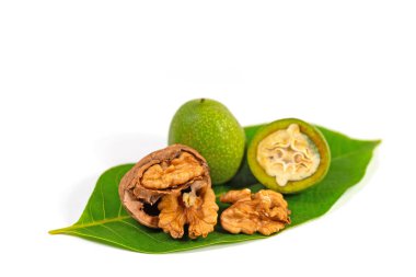 Beyaz arka plana karşı yeşil ve olgun cevizler.