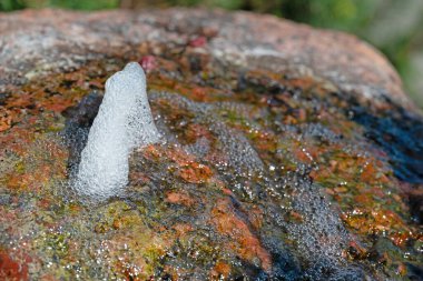 Yakın planda su birikintisi