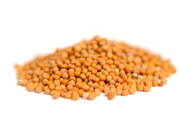 Beyaz arkaplana karşı hardal tohumları