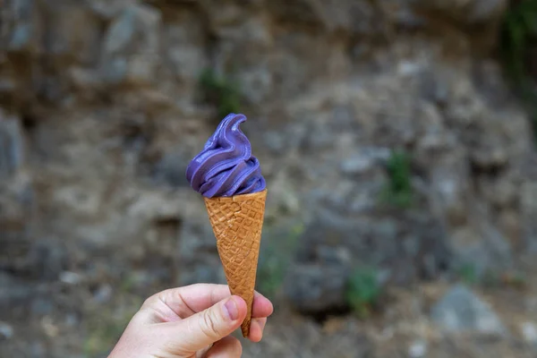 Мороженое Винном Конусе Джорджии Высокое Качество Фото — стоковое фото