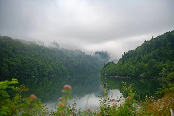 stock image  a beautiful view of the Shaor reservoir in Georgia. High quality photo