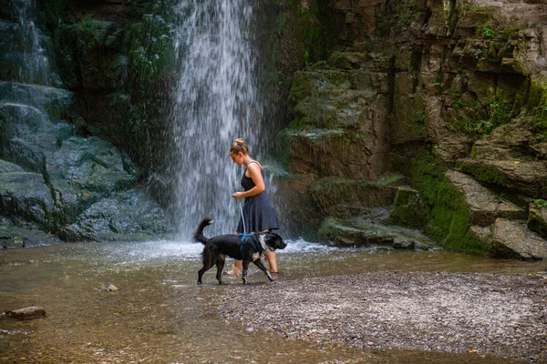 Одна Девушка Синем Платье Чёрная Собака Водопада Высокое Качество Фото — стоковое фото