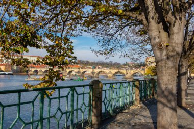 Embankment of the river in the city of Prague tree fence and bridge. High quality photo