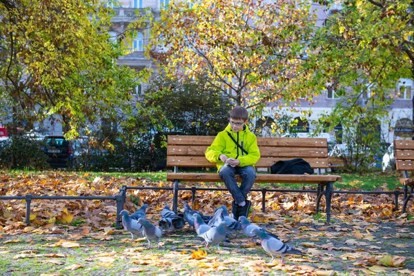 Sarı ceketli, gözlüklü bir çocuk bankta oturur ve bir Goubei 'yi besler. Yüksek kalite fotoğraf