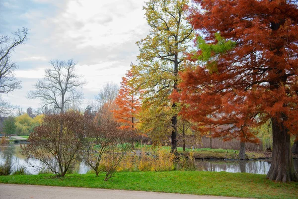 many autumn colored trees in a green clearing near the pond. High quality photo