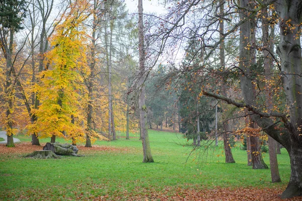 프라하의 가을아름답고 아름다운 고품질 — 스톡 사진