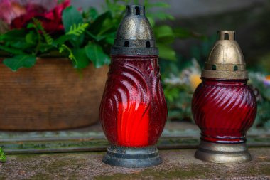 İki kırmızı şamdan yeşil bir çiçeğe karşı masada duruyor. Yüksek kalite fotoğraf