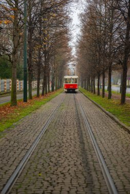 Köyler arasındaki raylarda kırmızı bir tramvay var. Yüksek kalite fotoğraf